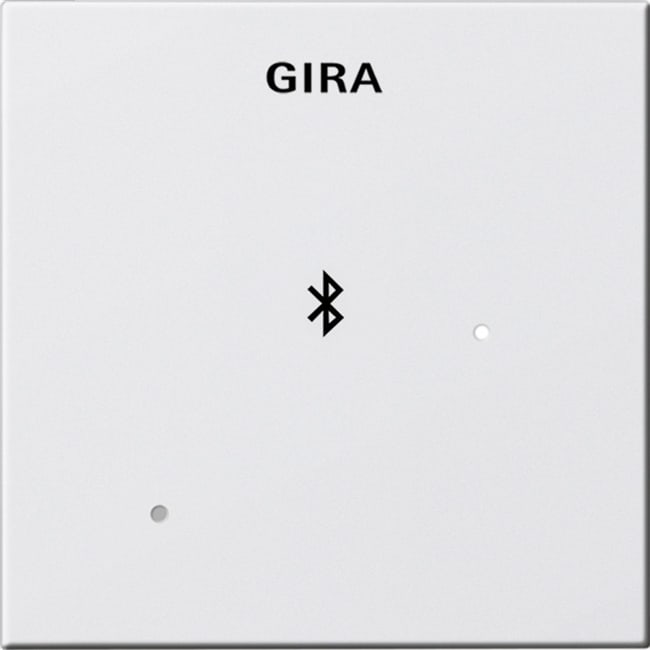 GIRA - Blinddeksel Dockingstasjon System 55 renhvit matt