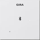 GIRA - Blinddeksel Dockingstasjon System 55 renhvit matt