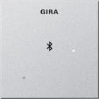 GIRA - Blinddeksel Dockingstasjon System 55 aluminiumsfarget
