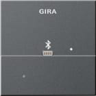 GIRA - Dockingstasjon for Apple Lightning System 55 antrasitt