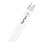 Osram - LED Lysrør T8 EM PRO 438 5.4W 840