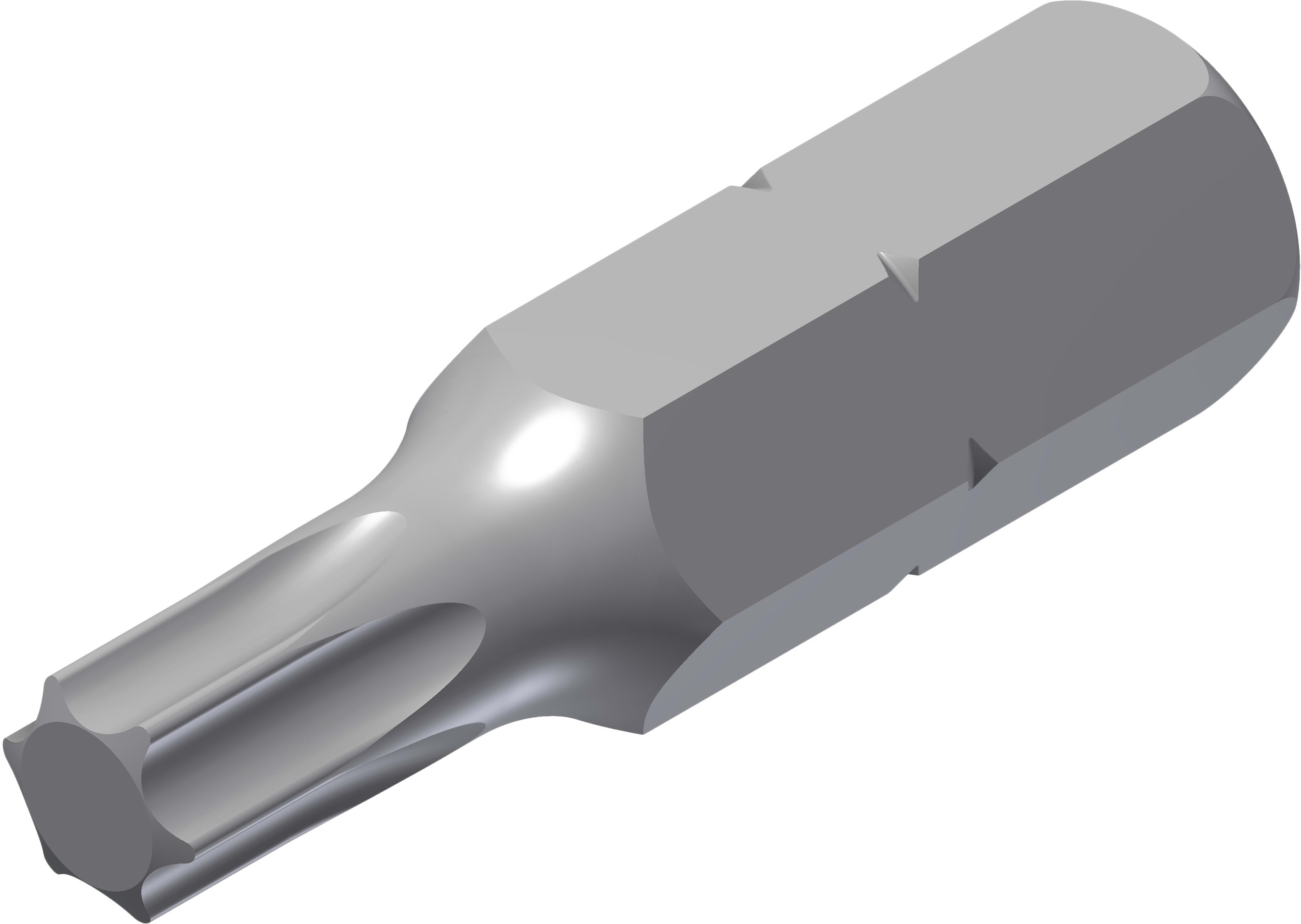 Øglænd system - Bits Conical Torx T30 PG