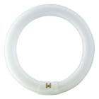 Philips - TL-E 40W/840 1CT/12