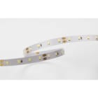 IPAS - IPAS LED strips Megalys W