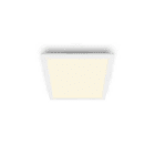 Philips - TOUCH CEILING CL560 SS SQ 12W STK