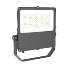 Aneta Lighting - NORTHERN floodlight 100W asym 100W, 4000K, IP66, 100.000t