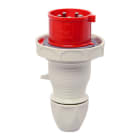Walther-Werke - Plugg 416-6 IP67 400V