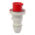 Walther-Werke - Plugg 316-6 IP67 400V