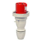Walther-Werke - Plugg 363-6 IP67 400V