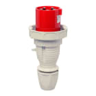 Walther-Werke - Plugg 463-6 IP67 400V