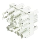 Wieland Electric GmbH - GST18i5 Fordeler, med fasevelger, Hvit