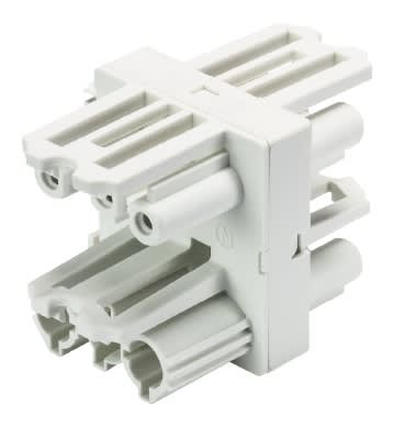 Wieland Electric GmbH - GST18i3 Fordeler, 1:3 med feste, Hvit