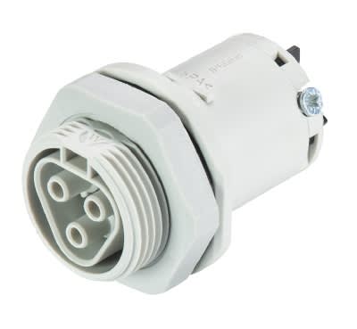 Wieland Electric GmbH - RST 3pol, Hun-Chassis, M25, Skruklemme, Grå