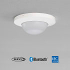 Function - Tilst.-sensor P42LR, 230 V, 2-kanals master, 32-37m, for innfelling med SnapFit