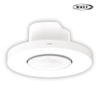 Function - Tilst.-sensor P47MR, DALI-2, master, 12-13m, for innfelt monteringsboks