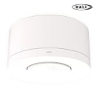 Function - Tilst.-sensor P47MR, DALI-2, master, 12-13m, for utenpåliggende montering