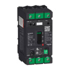 Schneider Electric - GV4 Motorvern Mg/trm 50A UL489