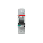 ABB Electrification - Høyeffektsautomat, S800P, D-karakteristikk, 50kA, 100A 1Pol,