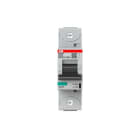 ABB Electrification - Høyeffektsautomat, S800P, D-karakteristikk, 50kA, 125A 1Pol,