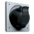Hauge - IPS AUSU 332RAU5 PANEL-STIKKONTAKT IP44