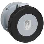 Hauge - IPS TOUGH&SAFE CUV 3125RU5W INNFELT STIKKONTAKT IP67