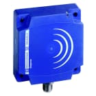 TMSS - XS7D1A1DAM12 Optim.80x80 dc 2-led. no plugg
