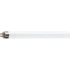 Philips - MASTER TL5 HE 21W/840 SLV/40
