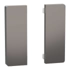 Schneider Electric - KNX 2-knapp til trykknappinnsats dynamisk merking, System Design, nikell metallic