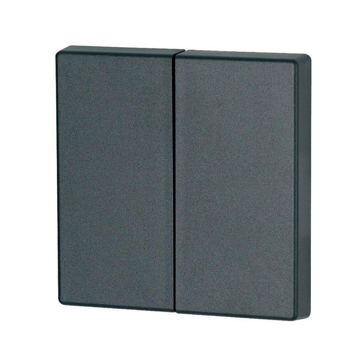Eaton Electric - Dobbel vippe antrasitt 55x55mm - CWIZ-02/04