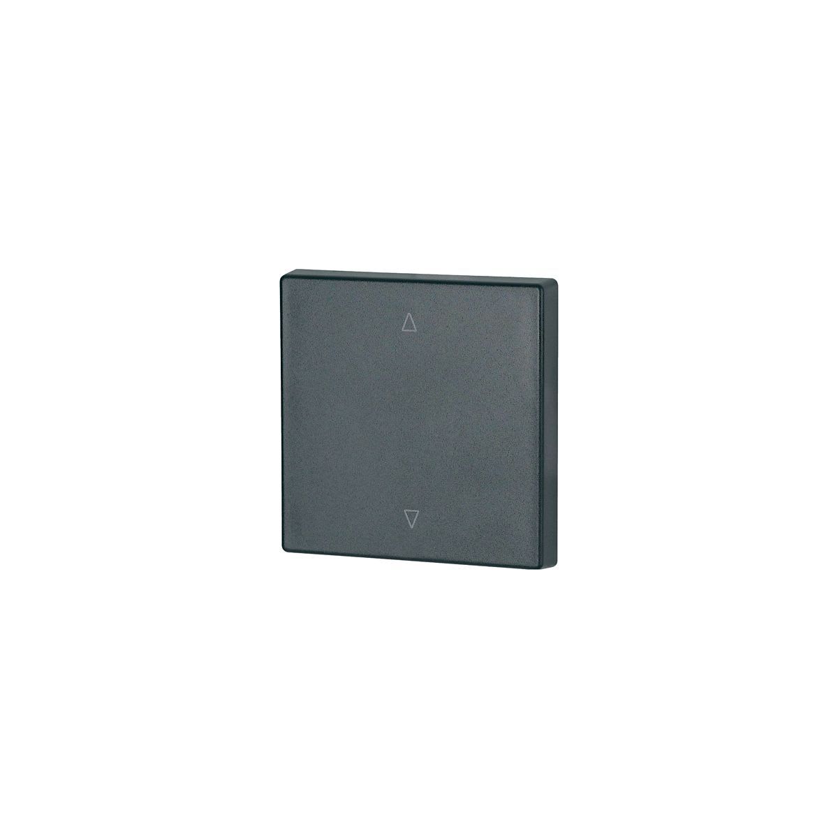 Eaton Electric - Enkel vippe Antr O/N - CWIZ-01/24
