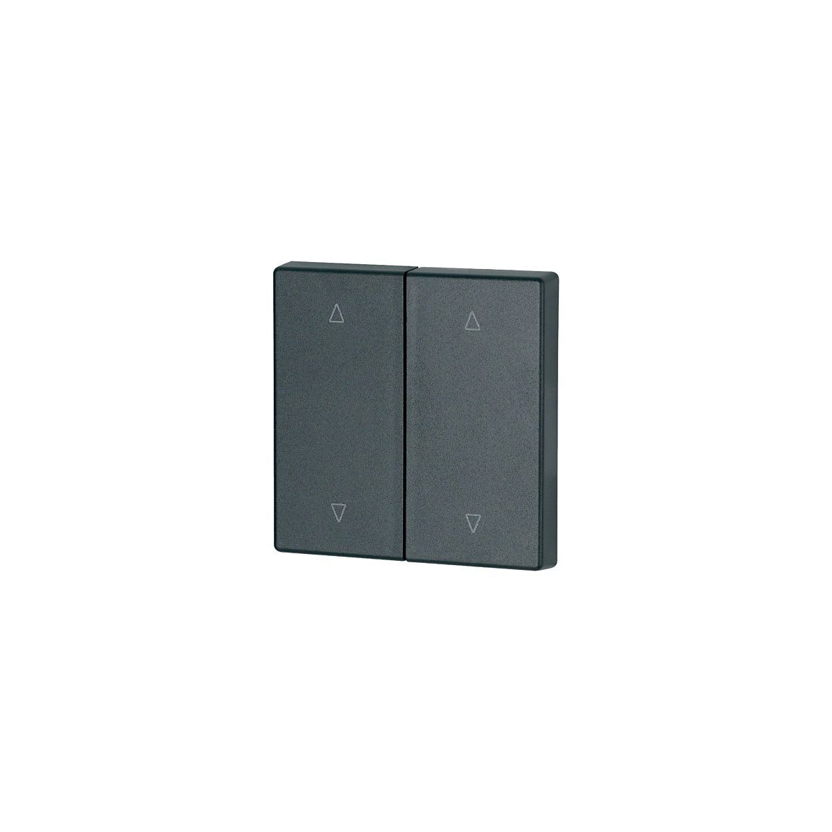 Eaton Electric - Dobbel vippe Antr O/N - CWIZ-02/24