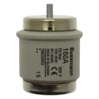Eaton Electric - Sikring, lavspenning, 160 A, AC 500 V, D5, 56 x 46 mm, gR, DIN, IEC, kvikk