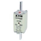 Eaton Electric - BUSSMANN 315A 440V 1 GG