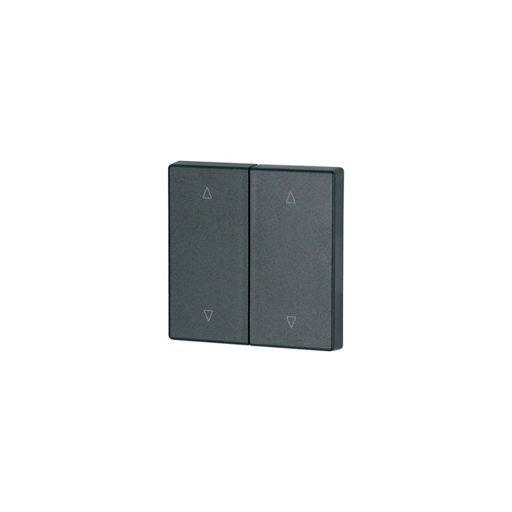 Eaton Electric - Dobbel vippe Sort 55x55mm O/N