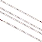 Q-Light - Q-Line Pro 14,4W 2700K IP20 5m Ledstrip 24V 1600lm/m