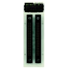 Schneider Electric - BMXDDO6402K X80 64 ut trans, 0.1A, FCN