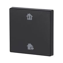 Eaton Electric - CWIZ-01/b9 Matt sort enkel, Hjemme/Borte
