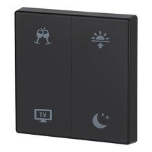 Eaton Electric - CWIZ-02/d9 Matt sort dobbel, Morgen/Kvel