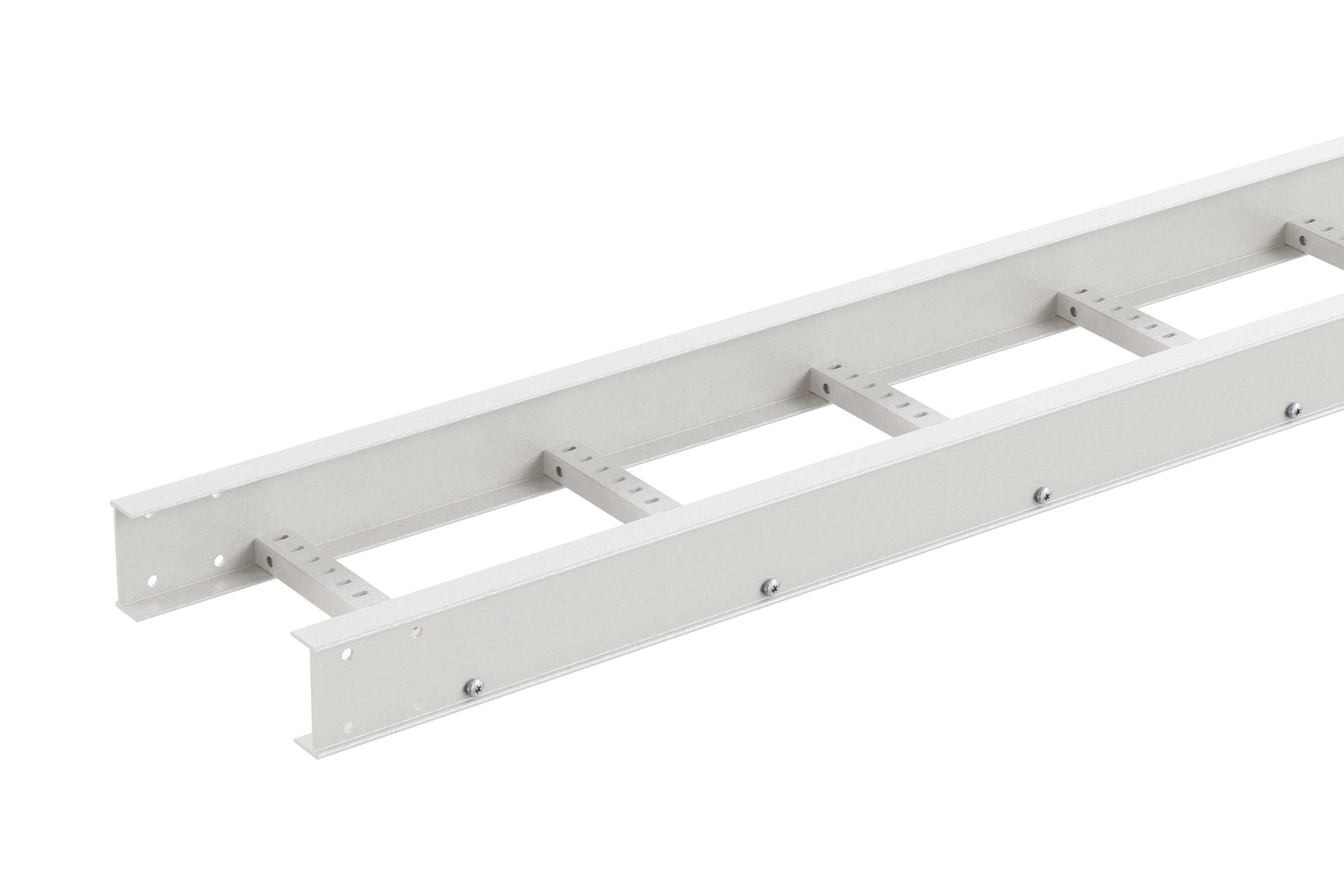 Wibe Group - Cable Ladder LM100-300-3000 P