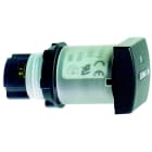 Telemecanique - XB5DSM6 Timeteller Ø22mm 230-240V 60Hz