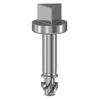 Schneider Electric - Skrue m/trekant hode 3mm f/SBM