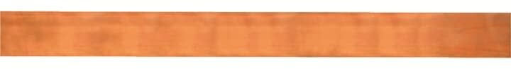 ABB Electrification - CU SKINNE 30x10, 1M