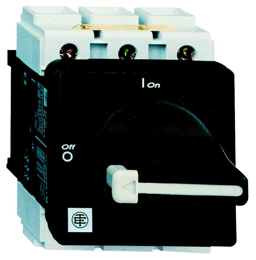 Schneider Electric - HOVEDBRYTER LÅSBAR 80A