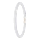 Ledvance - LED TUBE T5 FC EXT 22 830 2GX13 P LED LYSRØR