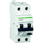Schneider Electric - A9N19894 JFA DCP H VIGI B16A 2P 30mA Si