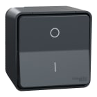 Schneider Electric - Mureva påveggbryter 2-polet 1
