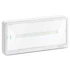 Schneider Electric - Exiway Light Activa IP65 500lm Exiway Light nødlys Activa, a