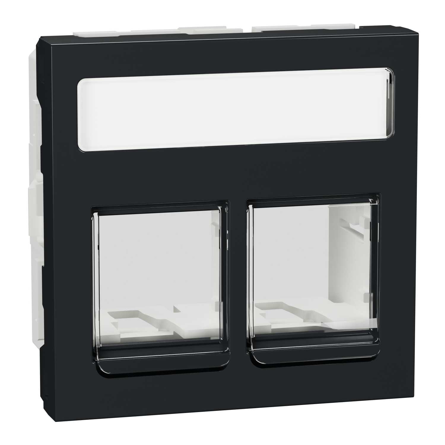 Schneider Electric - RJ45 - Dobbel Senter Plate DPM - rett - Antrasitt