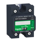 Schneider Electric - 1p SSR - inn 3-32DC, ut 24-300