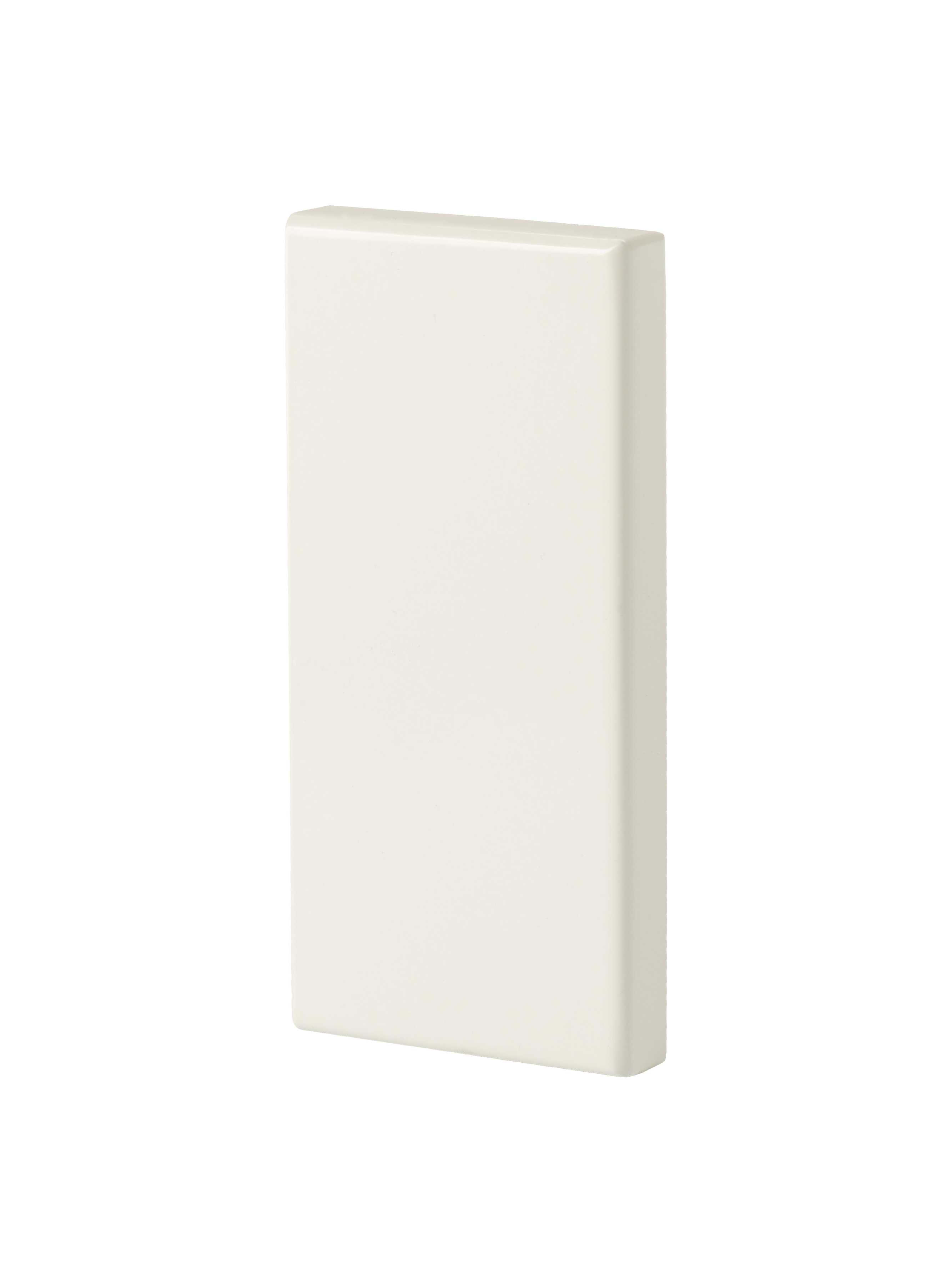 Thorsman
 - ENDESTYKKE TAS+ 110/52 RAL9010